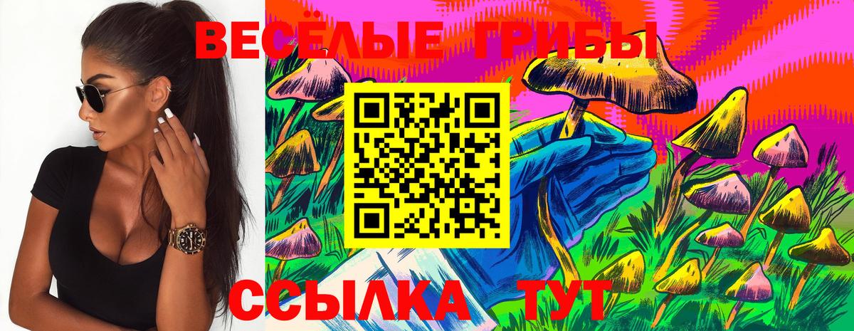 Новотроицк  цены наркотик  Вход с VPN  Галлюциногенные грибы Cubensis 