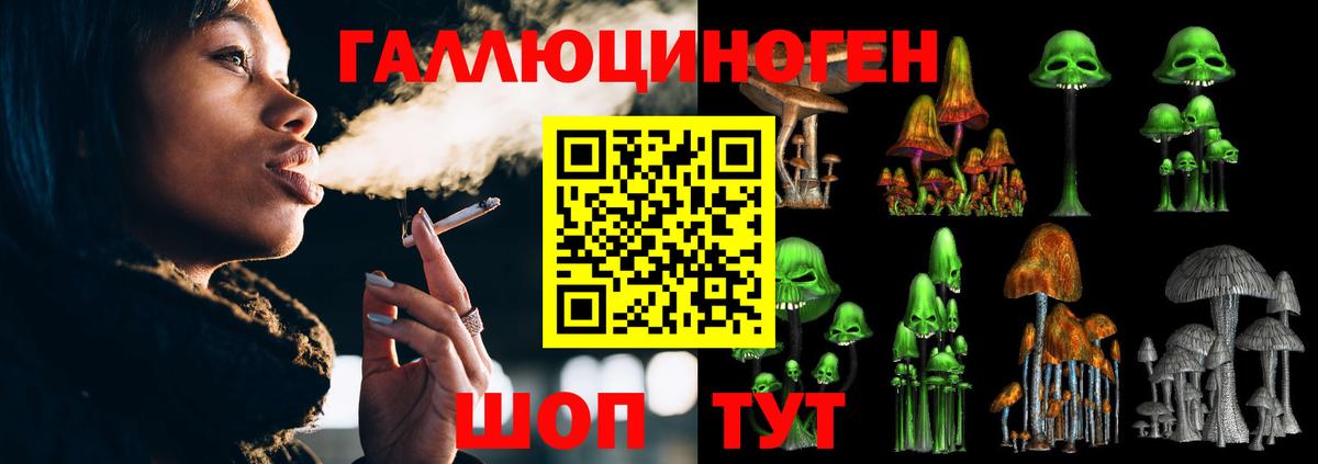 Псилоцибиновые грибы мицелий Новотроицк